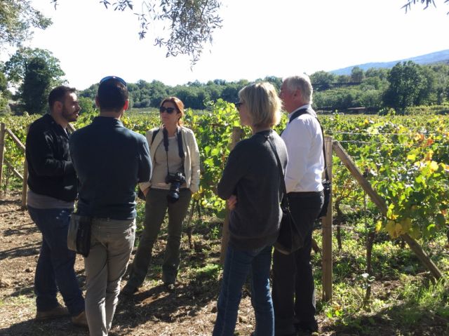 Eno-Gastronomic wine tour on Etna slopes